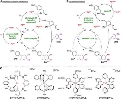 Molecular Rubies in Photoredox Catalysis